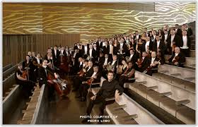 Orquestra Casa da Música